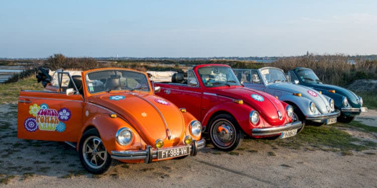 Read more about the article Who Doesn’t Love a VW Beetle?