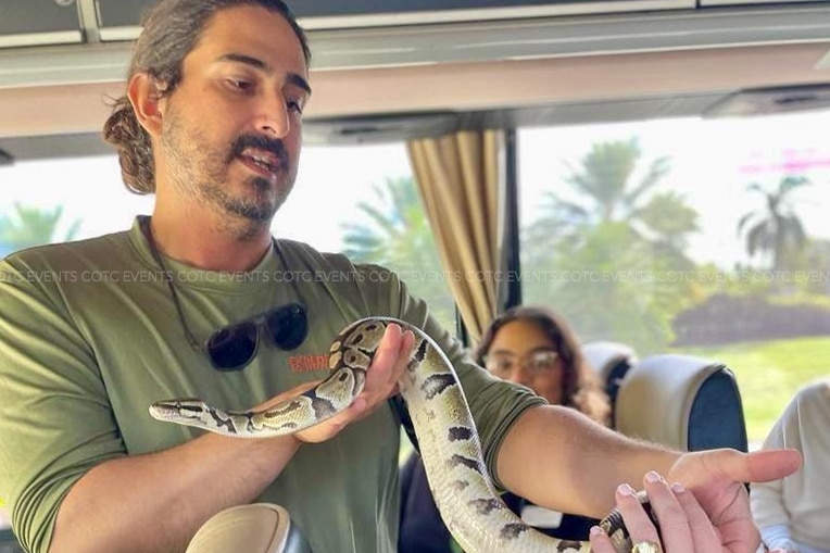 Read more about the article Snakes on a Bus