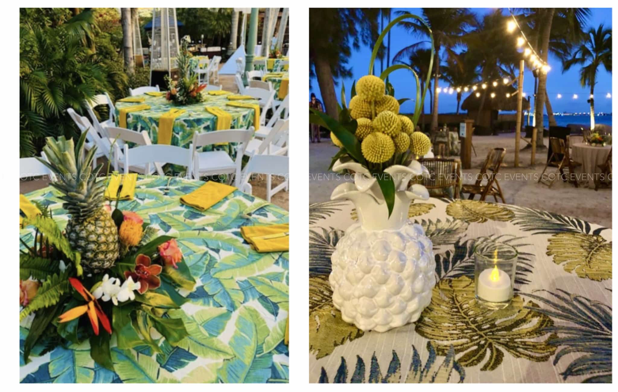 Read more about the article Pineapples!